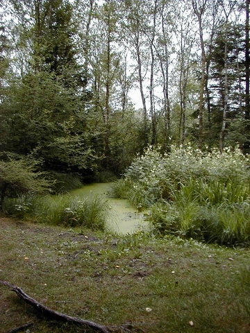 Das Naturschutzgebiet Hudelmoos